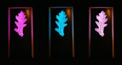 chelmsford_oak_sequence