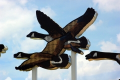 Finberry Approach (double goose)