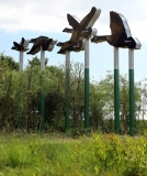 Finberry Approach (geese) vertical northside