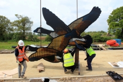 Finberry Goose slinging chains