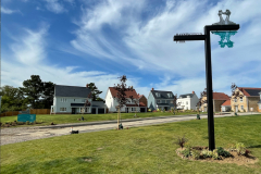 01_Grebes_close_greylag_far