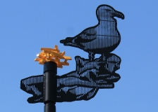 01_Horbury_Seagull_splash